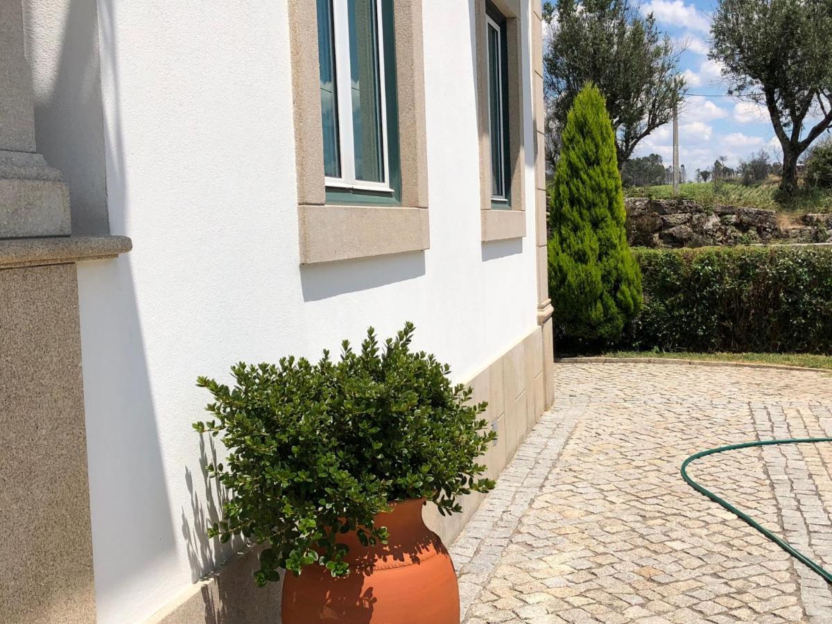 Solar Da Serra-Guesthouse Mangualde Εξωτερικό φωτογραφία