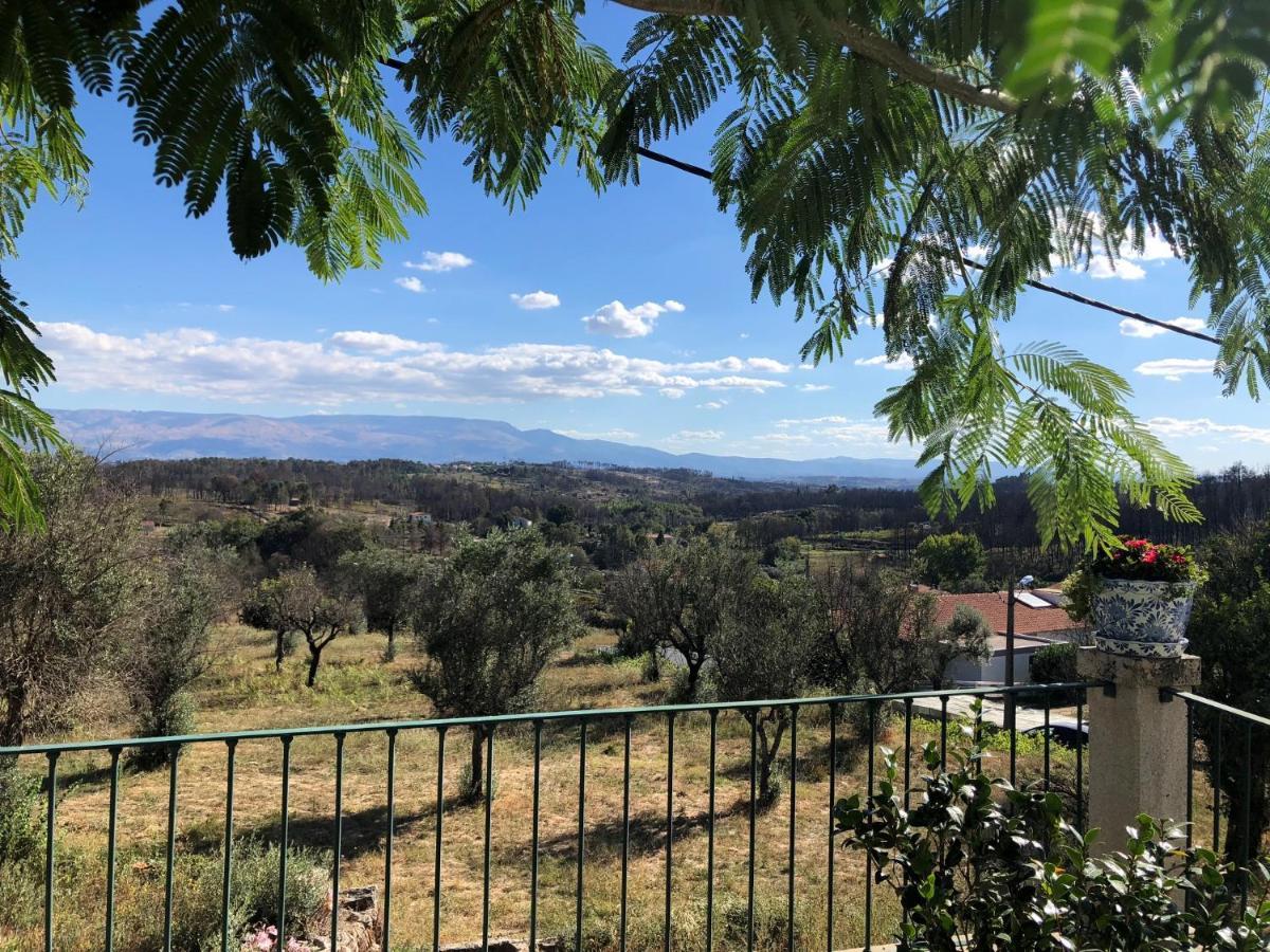 Solar Da Serra-Guesthouse Mangualde Εξωτερικό φωτογραφία