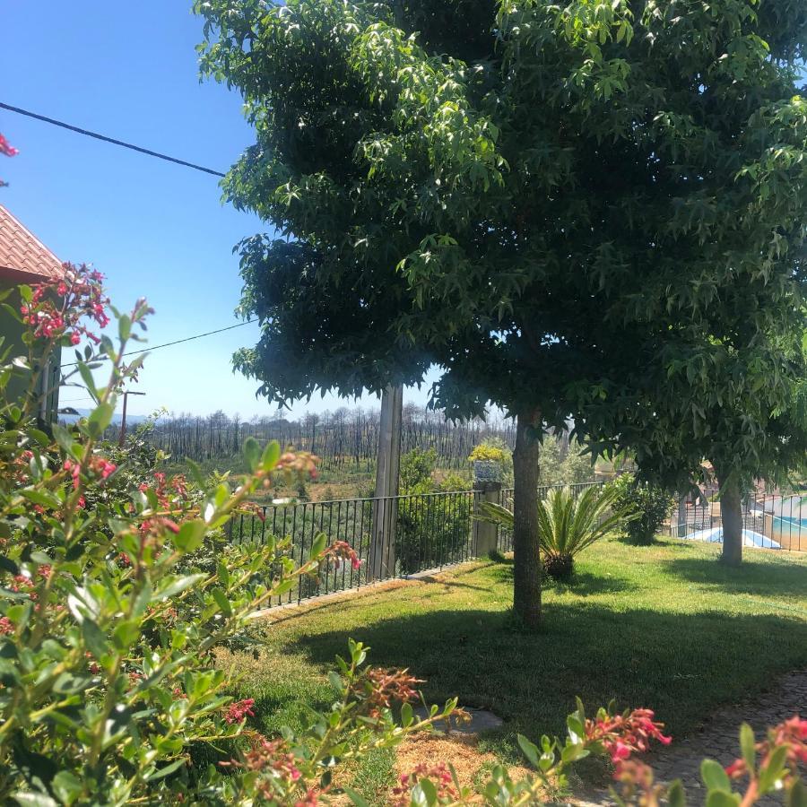 Solar Da Serra-Guesthouse Mangualde Εξωτερικό φωτογραφία
