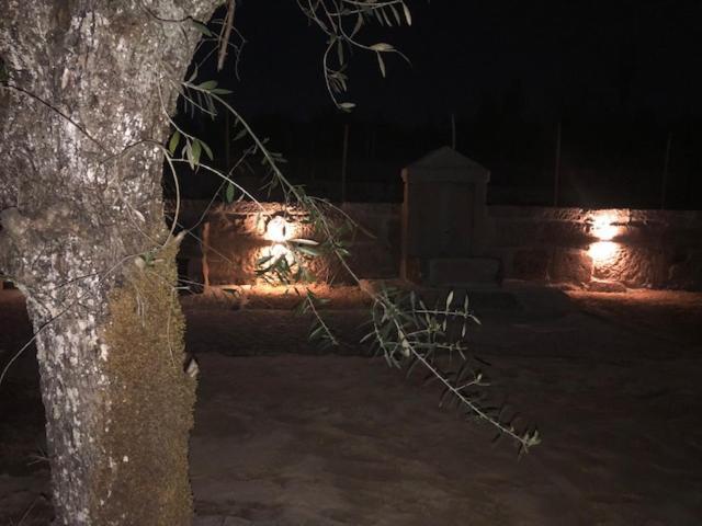 Solar Da Serra-Guesthouse Mangualde Εξωτερικό φωτογραφία