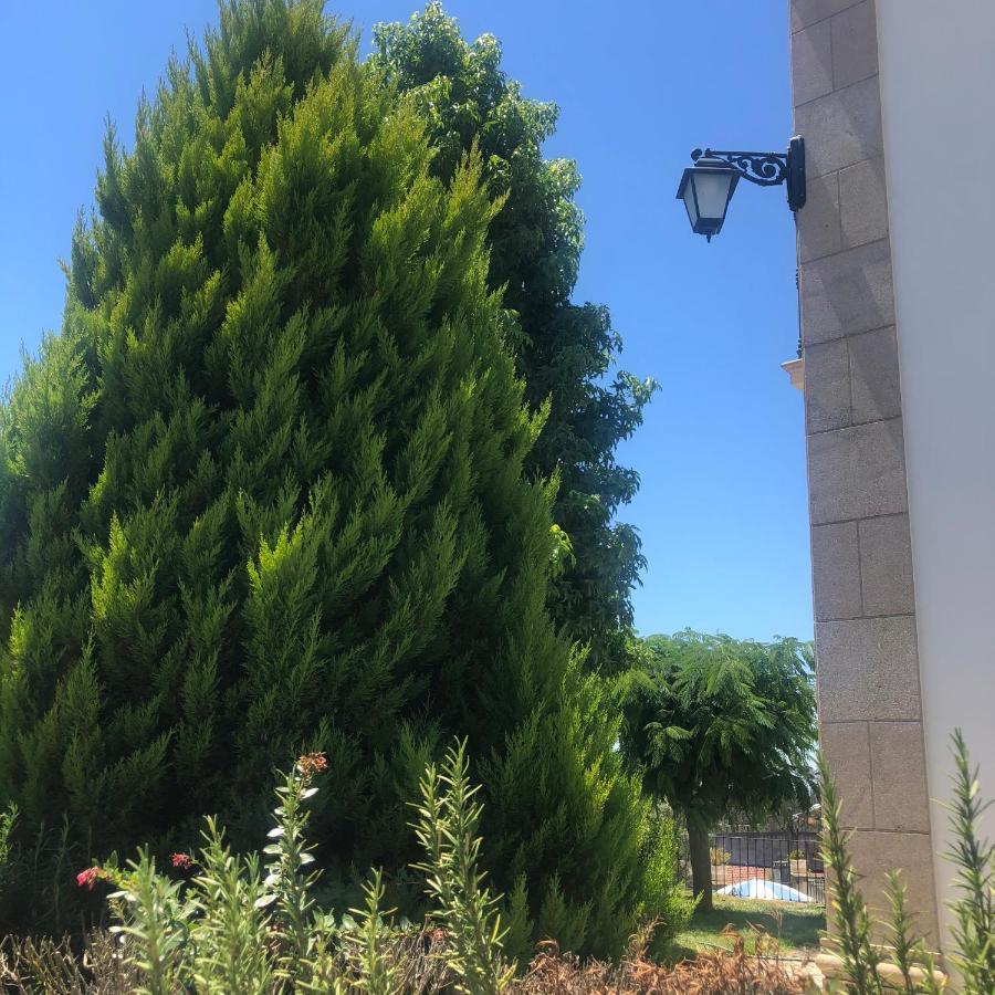Solar Da Serra-Guesthouse Mangualde Εξωτερικό φωτογραφία